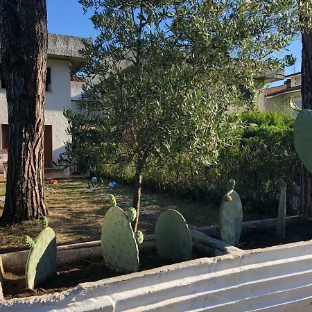 Casa Dado Ferienhaus *